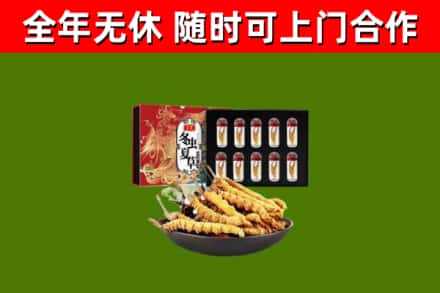 白云区烟酒回收冬虫夏草礼盒.jpg